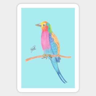 Lilac-breasted roller Sticker